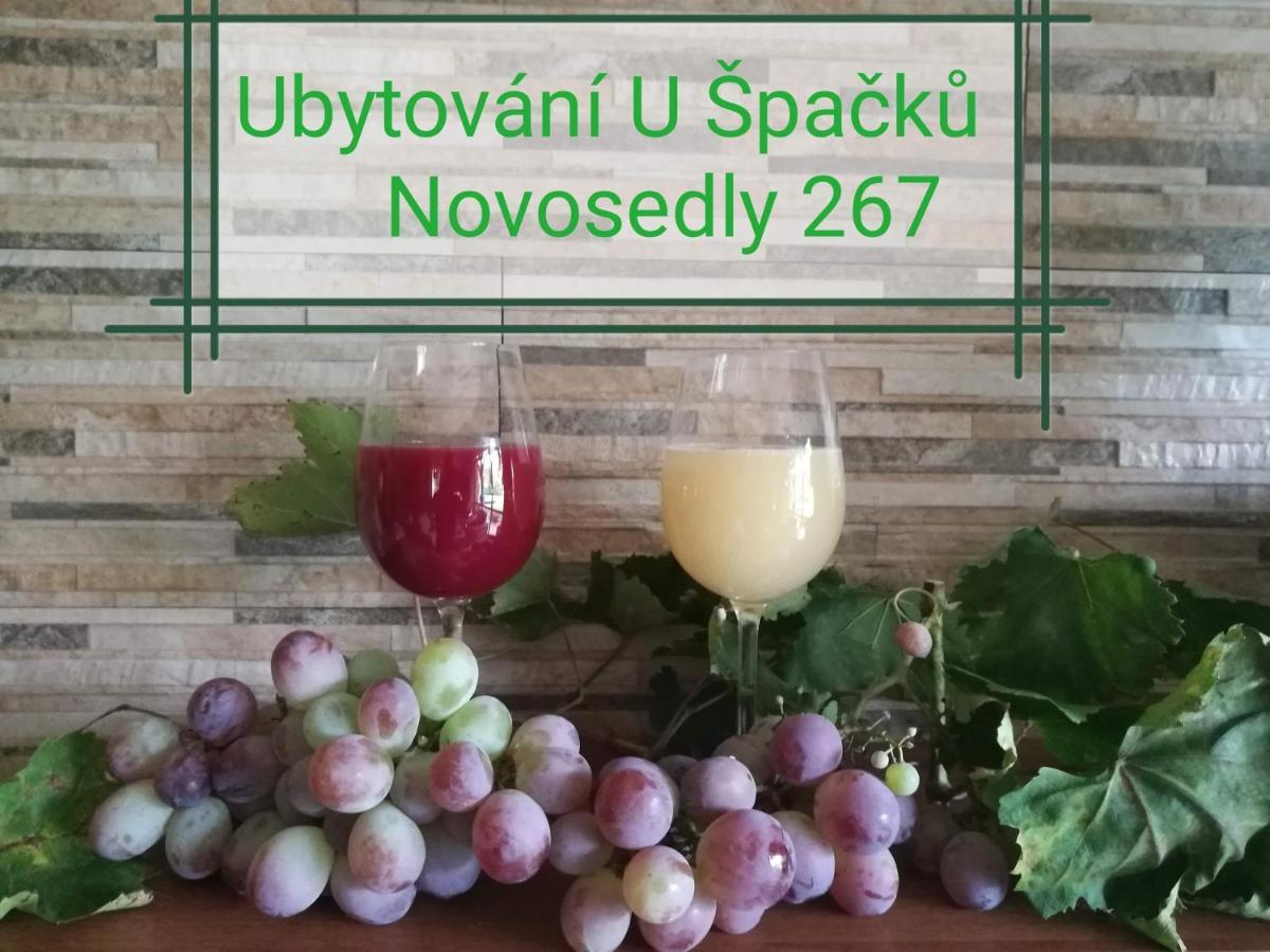 Ubytovani U Spacku Palava Novosedly  Екстериор снимка