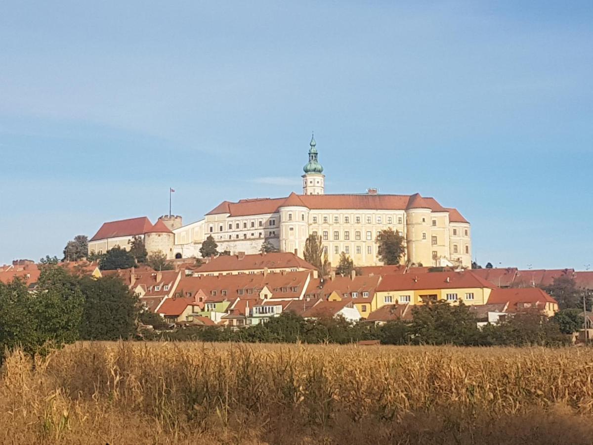 Ubytovani U Spacku Palava Novosedly  Екстериор снимка