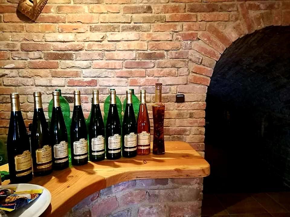 Ubytovani U Spacku Palava Novosedly  Екстериор снимка